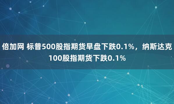 倍加网 标普500股指期货早盘下跌0.1%，纳斯达克100股指期货下跌0.1%